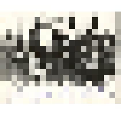 Фотография: штаб корпуса 2-й Западно-Сибирской партизанской Армии и штаб 3-й бригады 26-й дивизии 5-й Красной Армии, освобождающей Сибирь от колчаковщины. Встреча в Камне 9 декабря 1919 г. Копия