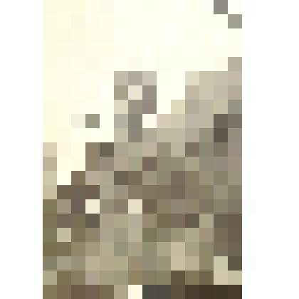 Фотография черно - белая. Михайлов В. А