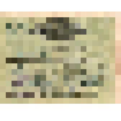 Свидетельство страховое о добровольном страховании животных серии З № 547479