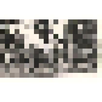 Фотография. Занятия по физкультуре среди отдыхающих Дома отдыха "1 Мая"