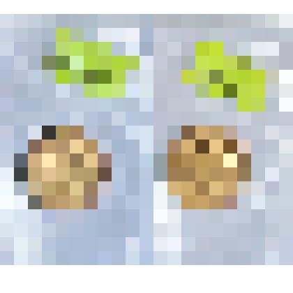 10 рублей 1899 г