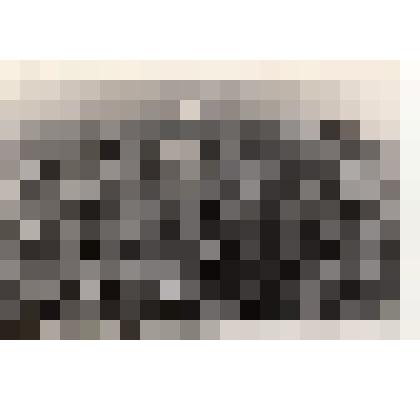 Фото/чб. Энгельсская опытно-мелиоративная станция. Мальчик в пшеничном поле. 1960-1970