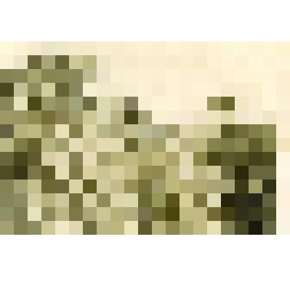 Фото. Галин Н.Т. с фронтовыми друзьями