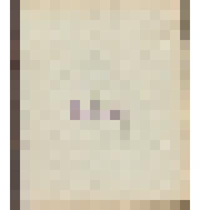 Дневник ученицы Евтеевой (Стопановской) Валентины