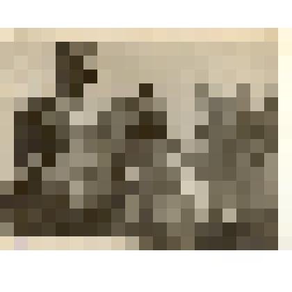 Фотография: Бастылева Лукерья Павловна, депутат первых выборов в Верховный Совет СССР 1937 г., зав. МТФ колхоза имени Карла Либкнехта на ферме с коровой Любой