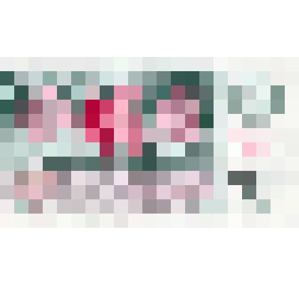 Билет денежно-вещевой лотереи 1989 г. Министерства финансов РСФСР № 172 серии 052145. Новогодний выпуск