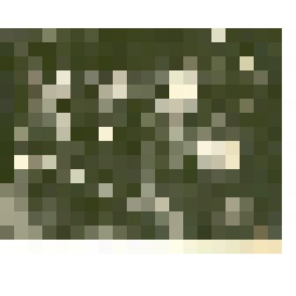 Фотография: хор при Каменском Доме культуры