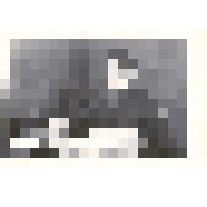 Фотография: Портянкин Николай Данилович, мастер штамповочного цеха Каменского авторемзавода, ветеран производства с 1957 г., ударник коммунистического труда