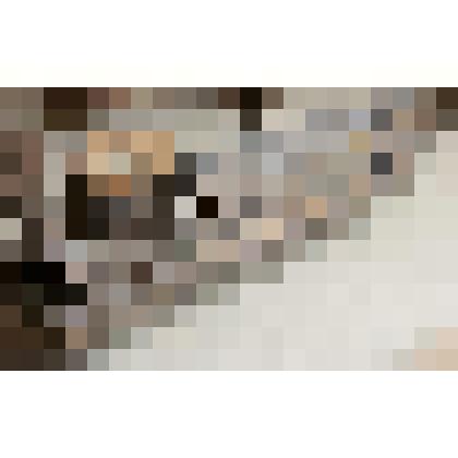 Фрагмент связи деревянной конструкции (часть)