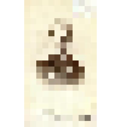 Фотография черно-белая. Нарбут Михаил Александрович