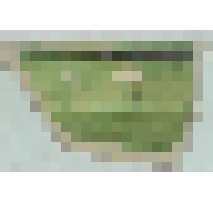 Черепок белого цвета