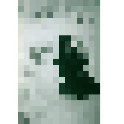 Негатив ч/б "Фридлянд С.И."