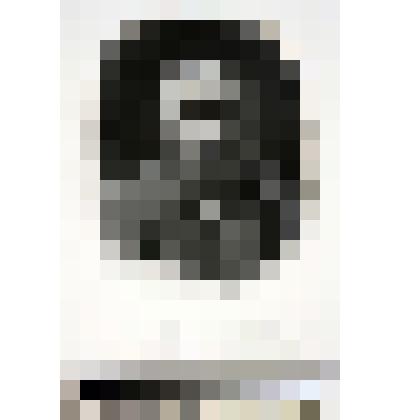 Портрет Ф.М. Достоевского (III состояние)