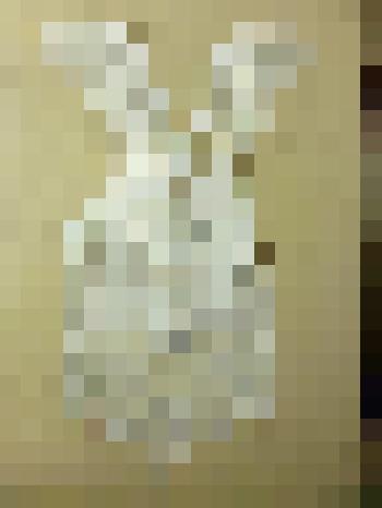 Фартук школьный парадный