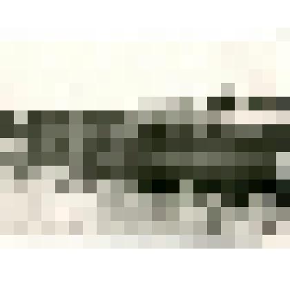 Фотография. Проводы парохода «Лена», отправляющегося в низовья