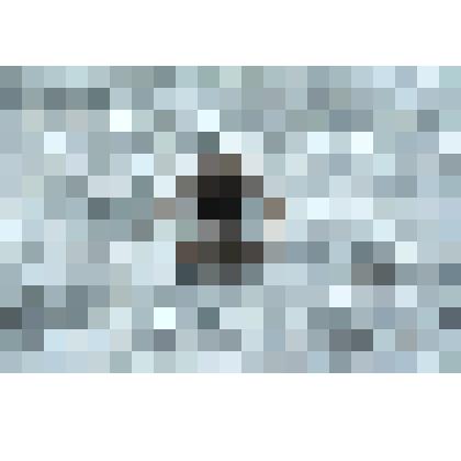 Значок: Хоккеисты СССР- чемпионы мира. Франция-1968