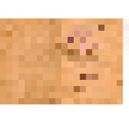 Трудовая книжка Кобец Федора Сергеевича 9.09.1950 года