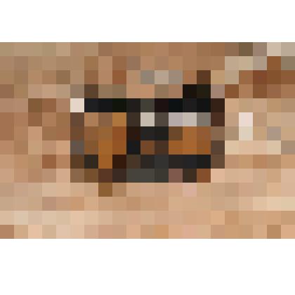 Бинокль Галилея (театральный)