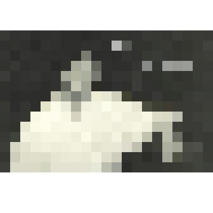 Фотография цветная. Портрет. Василий Овсянкин ТВ "Югория". С автографом и дарственной надписью