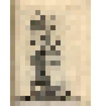 L'Enlevement de Proserpine. (Скульптурная группа "Похищение Прозерпины" (№ 67) - лист из альбома: «Recueil des statues, groupes, fontaines, termes, vases, et autres magnifiques ornaments du Chateau & Parc de Versailles.» T. I-IV. (Собрание фигур, групп, т