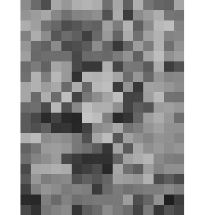 Работа акварельная. "Флоксы"