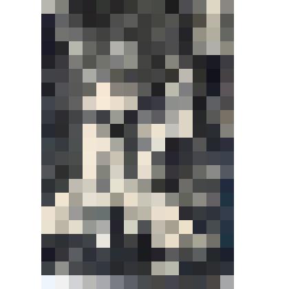 Фотопортрет. Групповое изображение детей