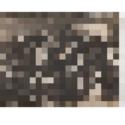 Ф/чб/к. V райконференция ВЛКСМ 2 района г. Покровск (4 ряд 5 слева Елистратова Е.Р.). 9.Х.1926