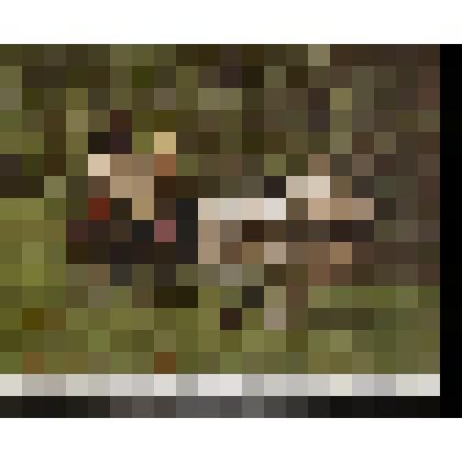 Его императорское величество государь император Александр Александрович и её императорское величество государыня императрица Мария Федоровна