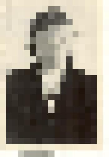 Фотография: свинарка Гоненского отделения совхоза "40 лет Октября" Панкрушихинского района Алтайского края Селютина Татьяна