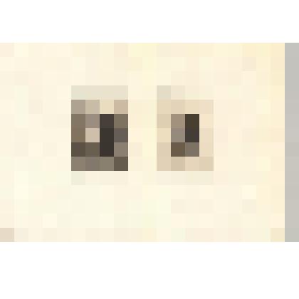 Два офорта на одном листе