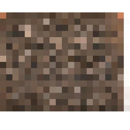 Фото. Выпускники Арзамас. педрабфака 1937 г