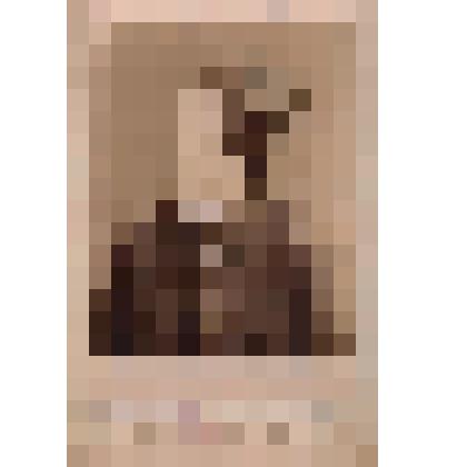 Золотопромышленник Востротин Степан Васильевич