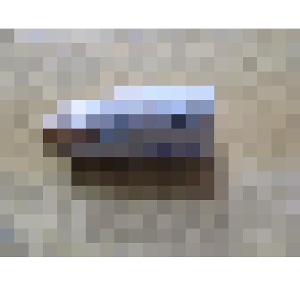 Белемнит, окаменелость