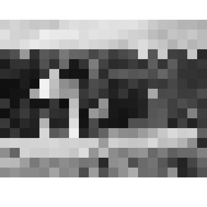 Серия фотографий с авторской фотовыставки "Мой взгляд". Фото цв. МЖК