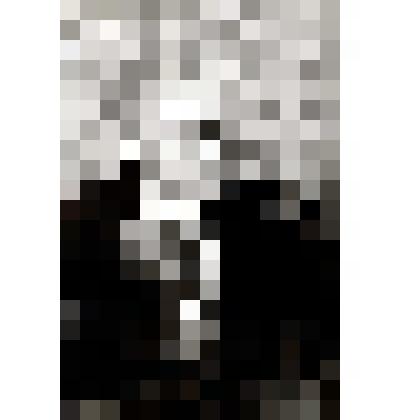 Фотография Мизиев Далхат Адраевич-кандидат экономических наук, генеральный директор вольфрамо-молибденового комбината (с 1992 года)