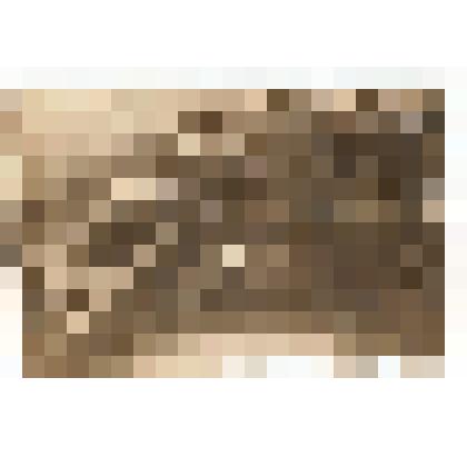 Ф/чб. Совещание политотдела 148-й стрелковой дивизии. Стоит за трибуной  начальник политотдела, зам.командира по полит.части полковник Гаранин Ф.И. 1942-1943