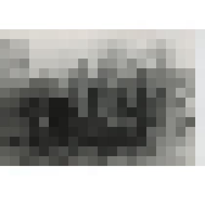 Фото ч/б. Воскресник возле остановки "Березка"