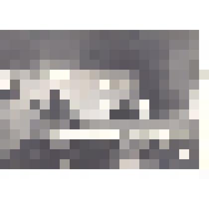 Фотография: встреча монгольской молодежи, прибывшей на учебу в профессионально-техническое училище №19 г.Камня-на-Оби Алтайского края