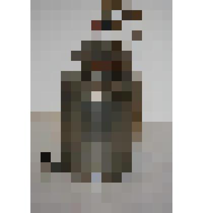 Колба Карлсберга