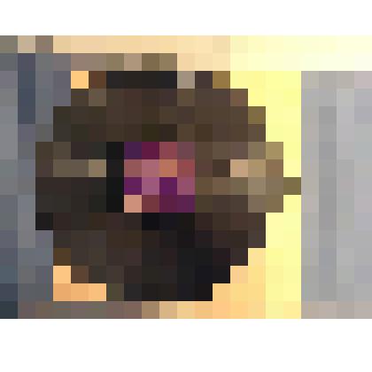 Грампластинка. Речь тов. И.В. Сталина на предвыборном собрании избирателей. В - 9, 10