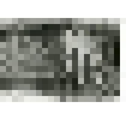 Фотография. Д.С. Чижов. С. Дьяковское