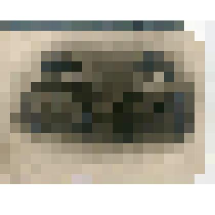 Фотография групповая. Клемент Ефремович Ворошилов и Сергей Миронович Киров