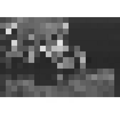 Негативы. Фотонегатив. Участница слета Ирина Боргоякова поет