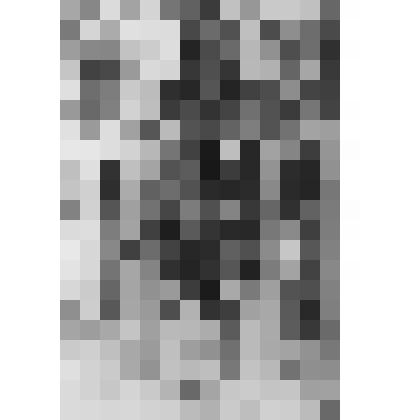 Большой дворец. Танцевальный зал. Западная стена. Зеркало. Перепечатка с негатива К. К. Кубеша, 1937 г