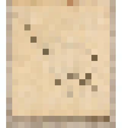 Слон, из альбома  «190 пейзажей; зарисовки, иллюстрации, карикатуры»