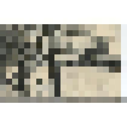 Открытка. Набережная с видом на собор Парижской  богоматери