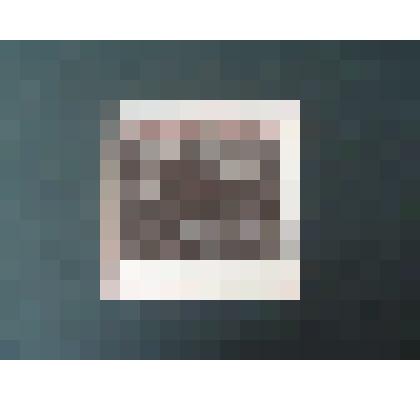 Старый Омск» (Дом-музея К.П.Белова)