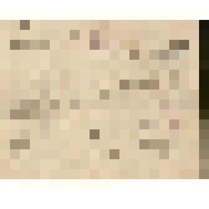 Документ. Паспорт тюменского мещанина Пимнева Алексея Алексеевича № 1211