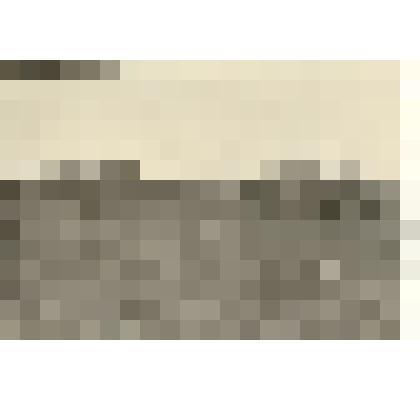 Фотография: первый сев пшеницы в совхозе "Октябрь" Кировского отделения Каменского района Алтайского края. Тракторист Сафронов Н.К., сеяльщики Егоров Н., Батин И.П., Мишенин Б