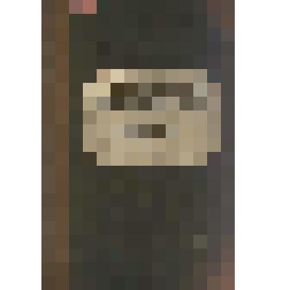 Документ. Сберегательные кассы почтового ведомства Бельгии: управление кассами, операции, вознаграждения, делопроизводство, образцы бланков